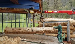 Laufkran mit Elektrokettenzug hebt Holzstamm