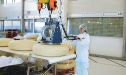Lifting cheese wheels with vacuum lifter