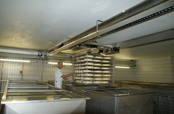 Kransystem für Salzbad Eine Hurde mit Käselaiben wird, präzise positioniert, ins Salzbad abgesenkt