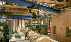 Crane system for bulky loads transports tree trunk for wood processing